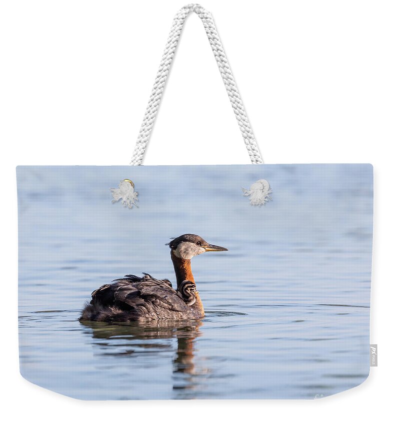 Photography Weekender Tote Bag featuring the photograph Sunset Grebes by Alma Danison