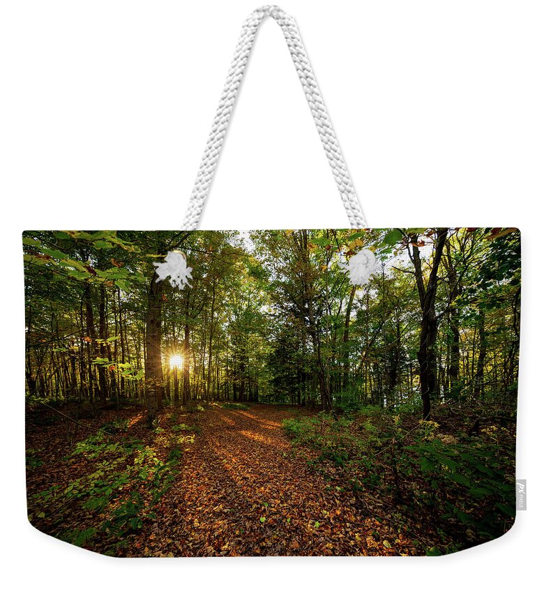 Sunset Weekender Tote Bag featuring the photograph Sunset in the forrest #1381 by Michael Fryd