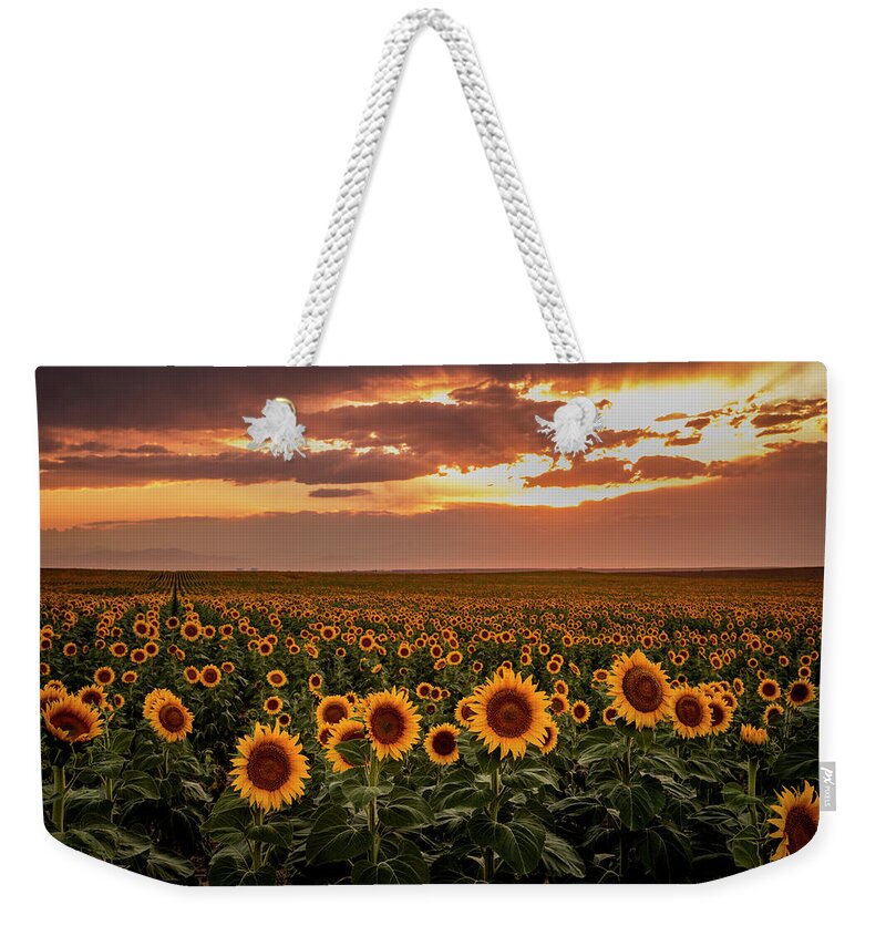 Colorado Weekender Tote Bag featuring the photograph Sunset Over Colorado Sunflower Fields by Teri Virbickis