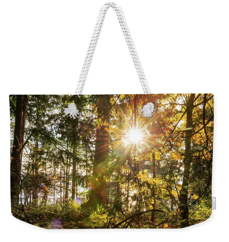 Fall; Autumn; Color; Trees; Forest; Sun; Ray Of Sunshine; Trail; Chuckanut Drive; Washington; Pnw; Pacific North West Weekender Tote Bag featuring the digital art Sunshine at Whatcom County by Michael Lee