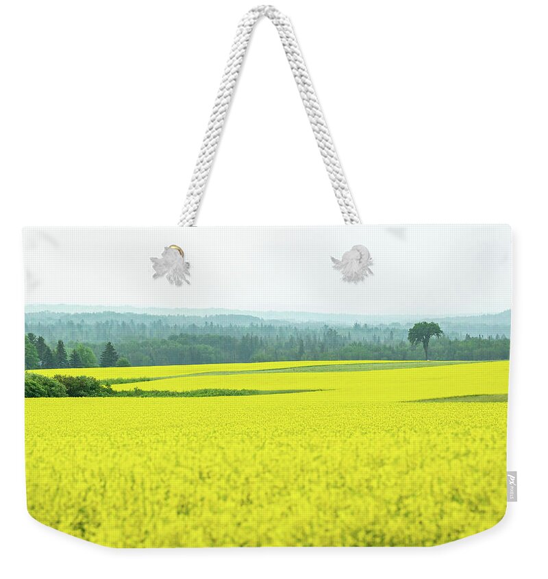Yellow Weekender Tote Bag featuring the photograph Sunshine On a Cloudy Day by Holly Ross