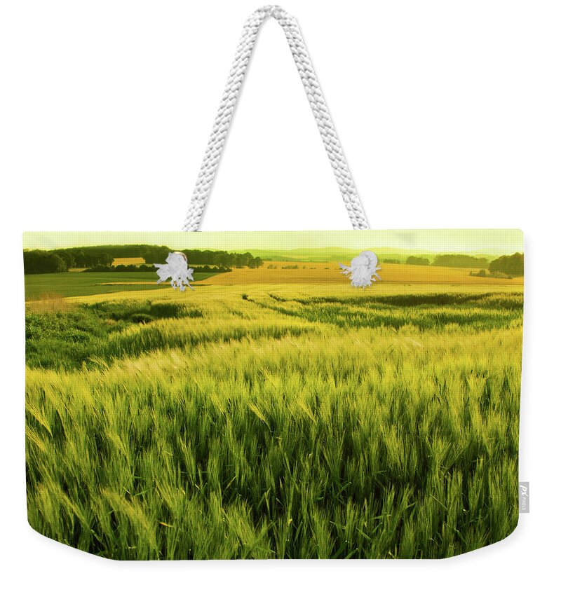 Non-urban Scene Weekender Tote Bag featuring the photograph Sunshine Over A Wheat Field by Nikada