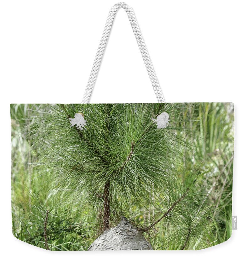 Nest Weekender Tote Bag featuring the photograph Super Nest by Rick Redman