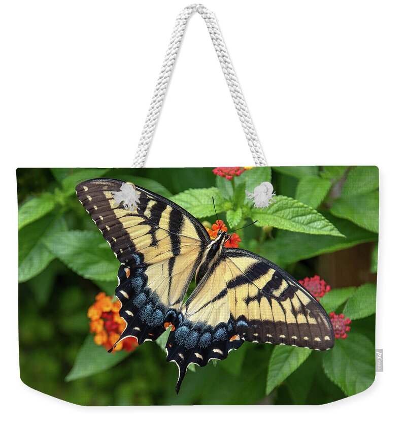 Butterfly Weekender Tote Bag featuring the photograph Swallowtail #3 by Minnie Gallman