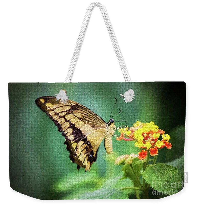Nature Weekender Tote Bag featuring the photograph Swallowtail Butterfly by Sharon McConnell