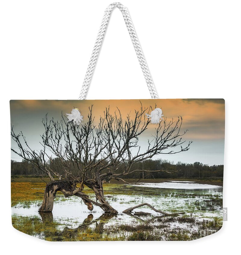Landscape Weekender Tote Bag featuring the photograph Swamp and dead tree by Hanna Tor
