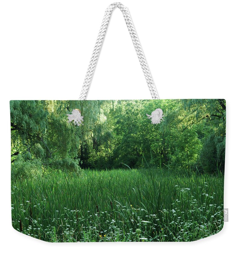 Swamp Grass Weekender Tote Bag featuring the photograph Swamp Grass 2 by Ee Photography