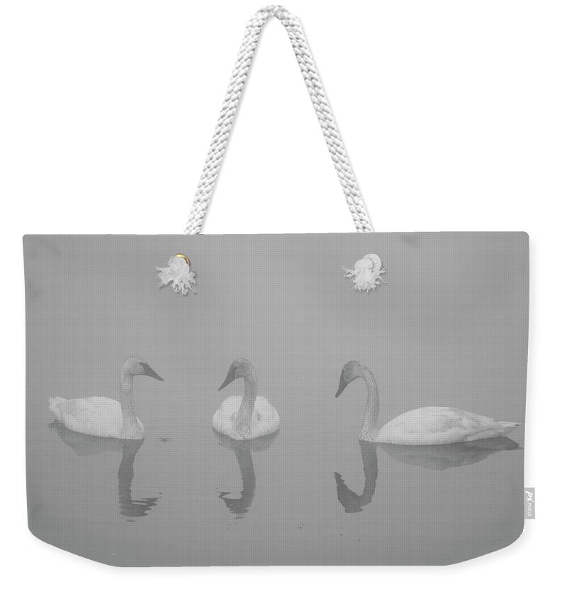 Swan Weekender Tote Bag featuring the photograph Swan Reflections by Patrick Nowotny