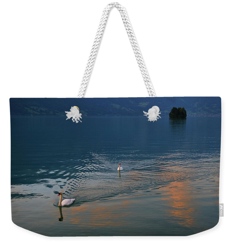 Swan Weekender Tote Bag featuring the photograph Swans and Brienz Lake. Alps. Switzerland by Guido Montanes Castillo