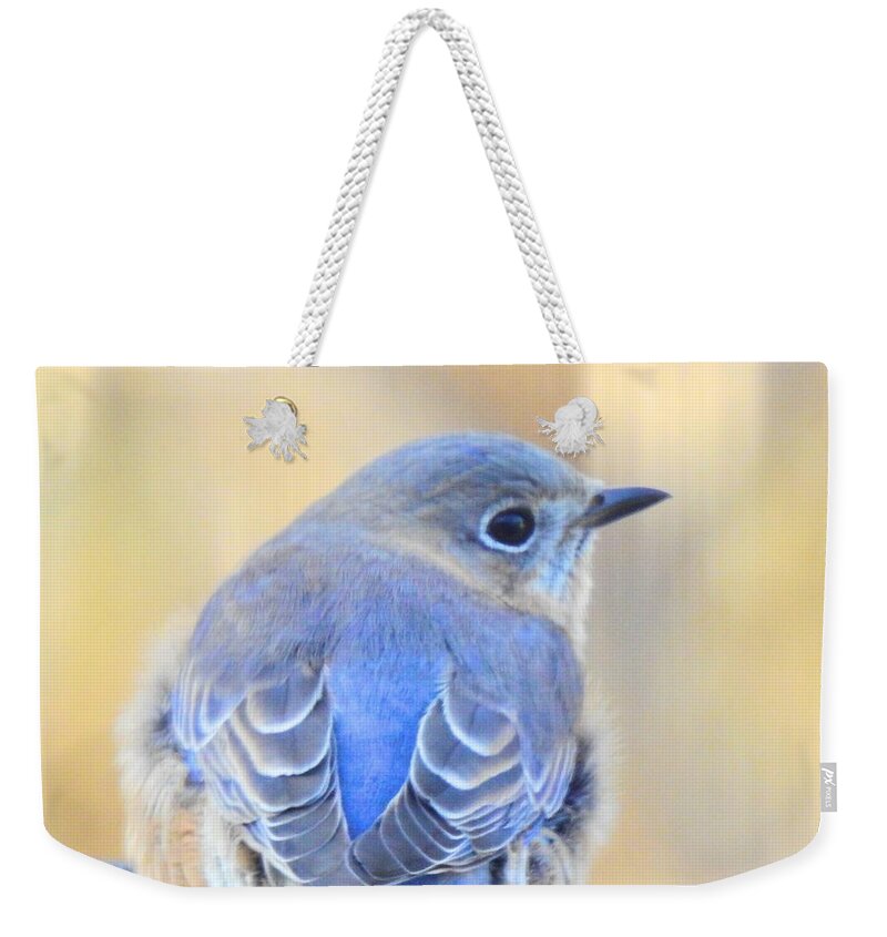 Single Weekender Tote Bag featuring the photograph Sweet Bluebird Visits by Eunice Miller