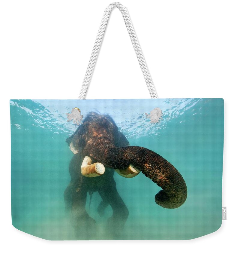 Underwater Weekender Tote Bag featuring the photograph Swimming Elephant by James R.d. Scott