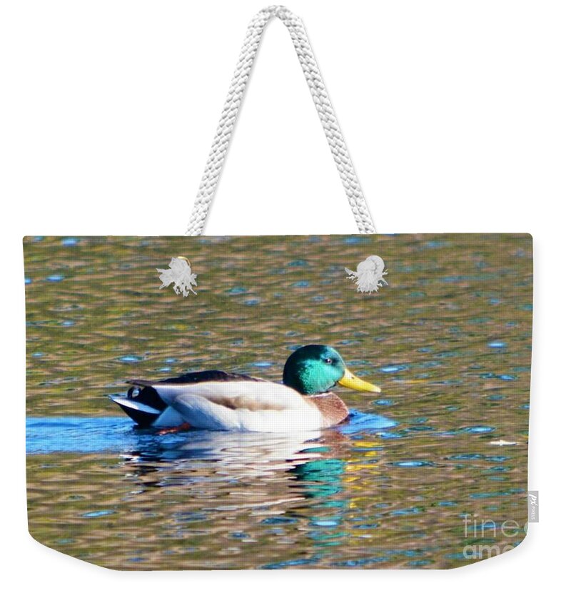 Mallard Weekender Tote Bag featuring the photograph Swimming Mallard and Autumn Leaf Reflections by Dani McEvoy