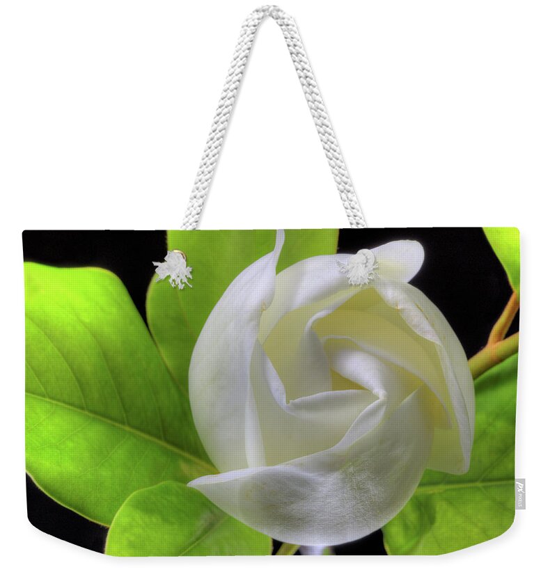 Magnolia Grandiflora Weekender Tote Bag featuring the photograph Swirling Scents by JC Findley