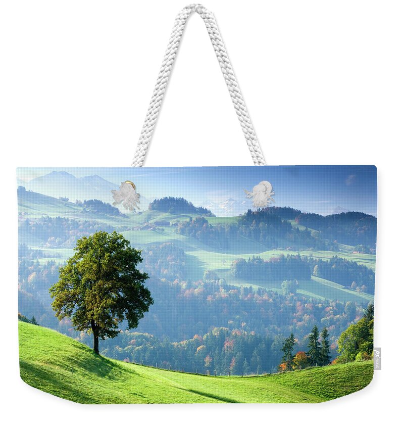 Scenics Weekender Tote Bag featuring the photograph Switzerland, Bernese Oberland, Tree On by Travelpix Ltd