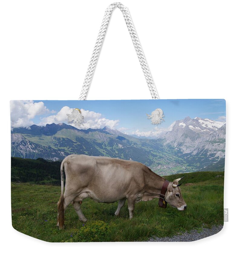 Grass Weekender Tote Bag featuring the photograph Switzerland by Michio1975