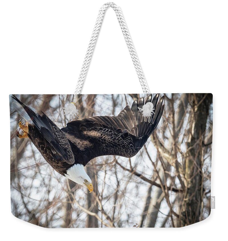 Eagle Weekender Tote Bag featuring the photograph Swoopin by Laura Hedien
