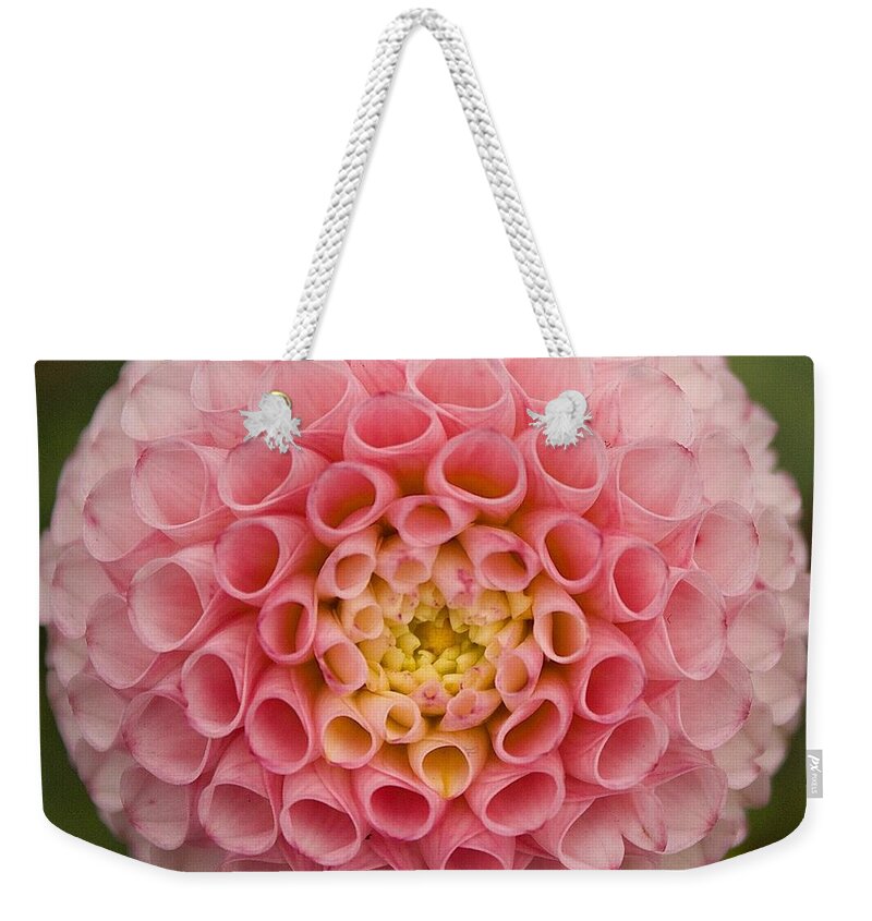 Symmetry Weekender Tote Bag featuring the photograph Symmetrical Dahlia by Brian Eberly