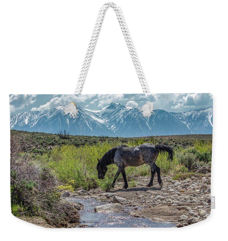  Weekender Tote Bag featuring the photograph _t__0634 by John T Humphrey