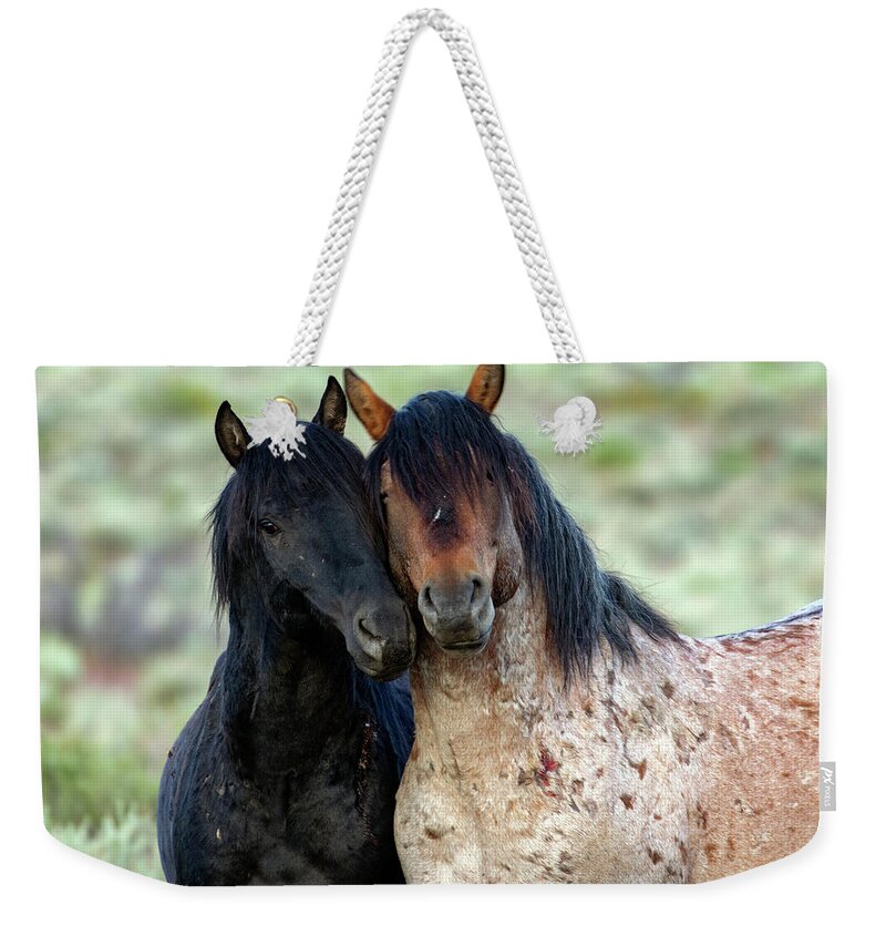  Weekender Tote Bag featuring the photograph _t__2748 by John T Humphrey
