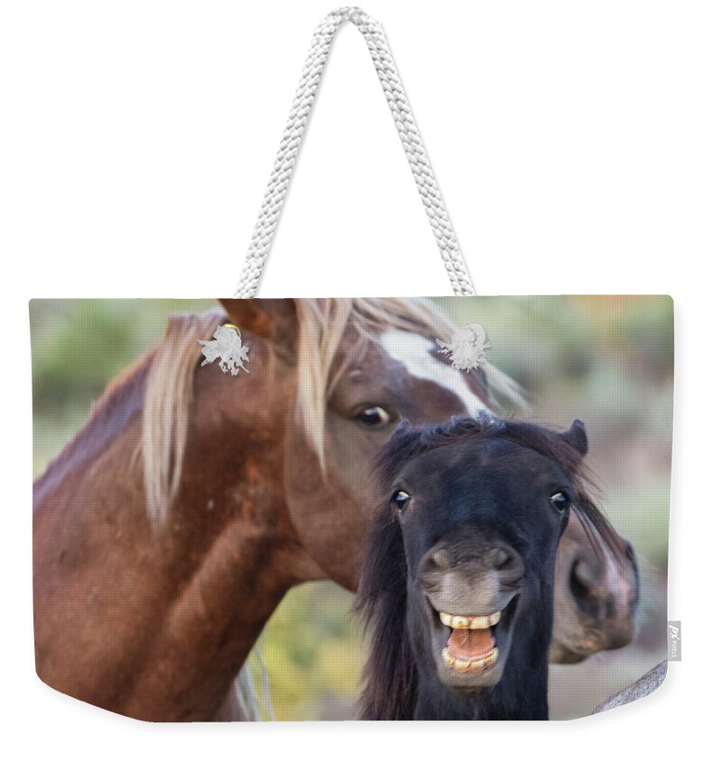  Weekender Tote Bag featuring the photograph _t__3597 by John T Humphrey
