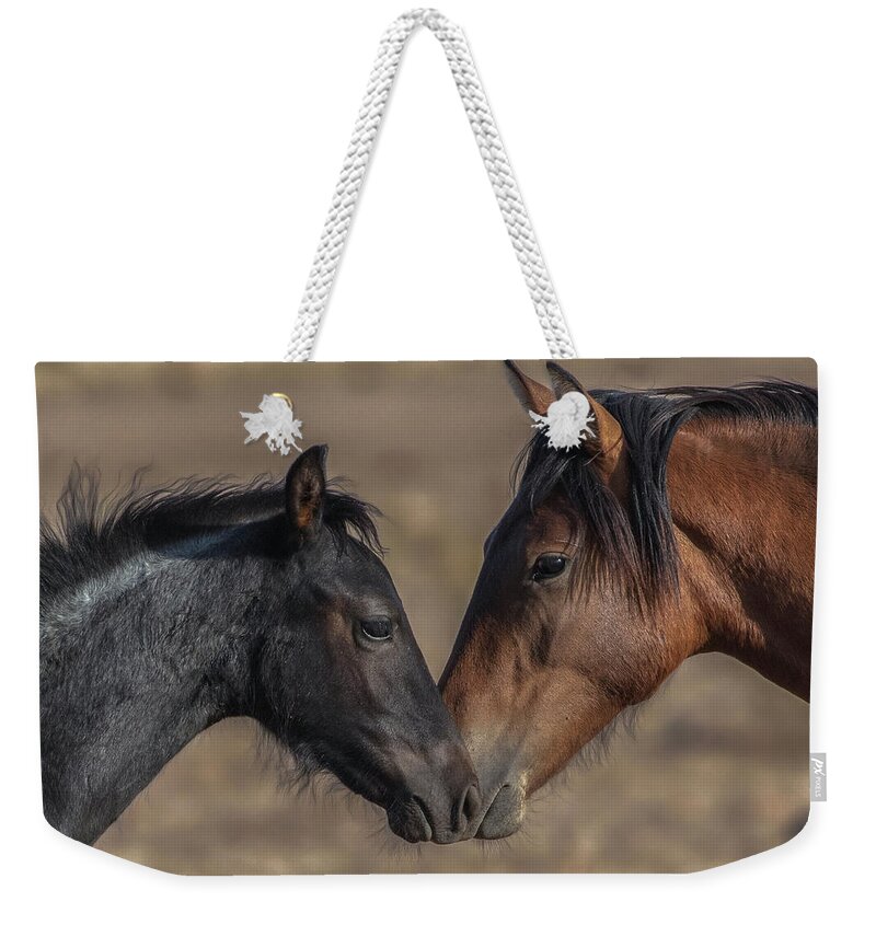  Weekender Tote Bag featuring the photograph _t__6144 by John T Humphrey