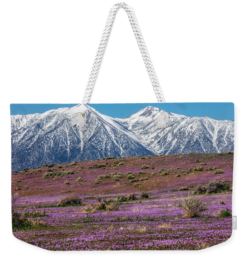  Weekender Tote Bag featuring the photograph _t__9668 by John T Humphrey