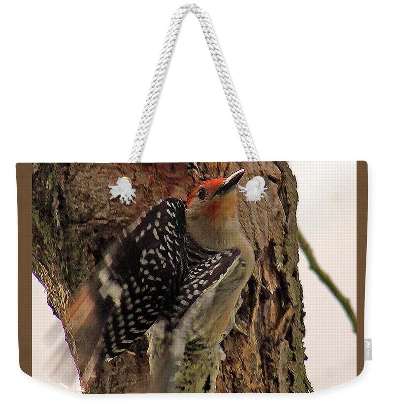 Woodpecker Weekender Tote Bag featuring the photograph Taking Off by Michael Allard