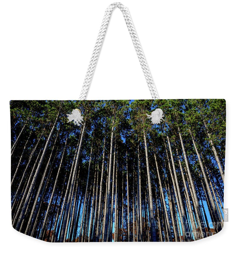 Pines Weekender Tote Bag featuring the photograph Tall Pines by Debra Kewley