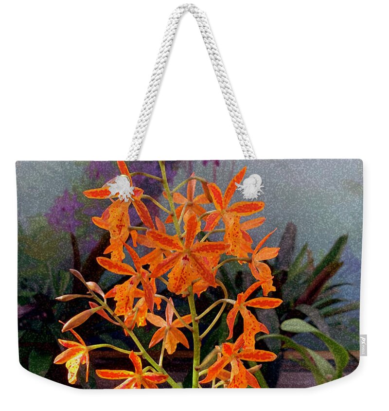Tapestry Weekender Tote Bag featuring the digital art Tapestry II by Don Wright