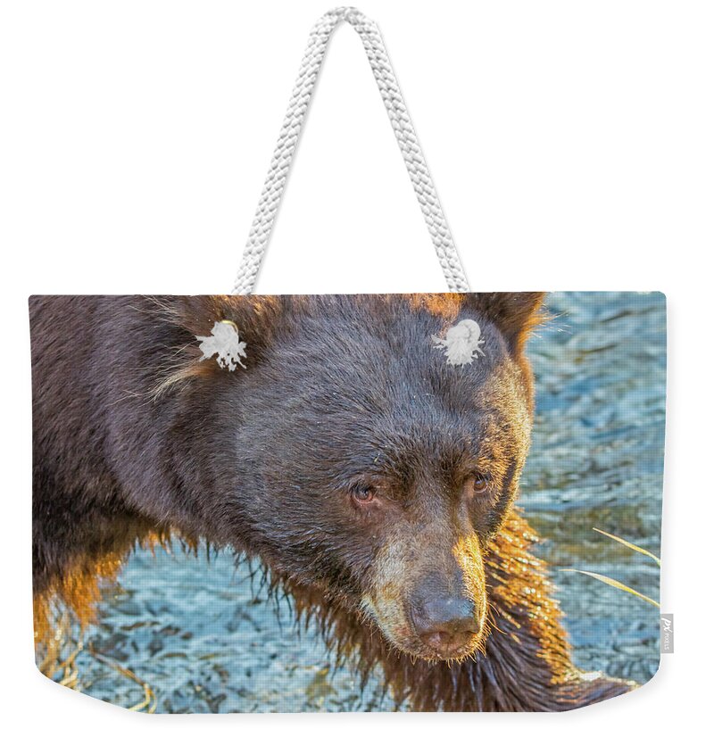 California Weekender Tote Bag featuring the photograph Taylor Creek Bear at Sunset by Marc Crumpler