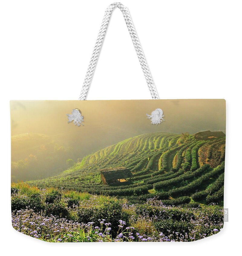 Scenics Weekender Tote Bag featuring the photograph Tea Garden by Nutexzles