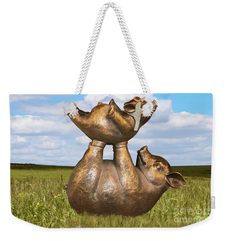 Pigs In Clover Weekender Tote Bag featuring the digital art Teaching a pig to fly - mother pig in grassy field holds up baby pig with flying helmet to teach it by Susan Vineyard