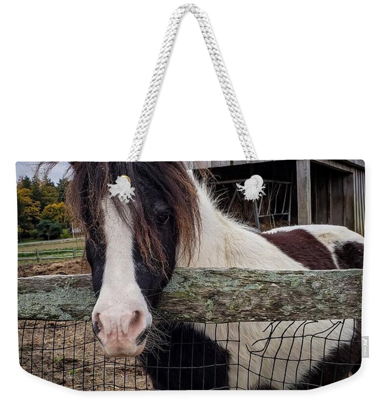 Pony Weekender Tote Bag featuring the photograph Tendercrop Pony by Mary Capriole