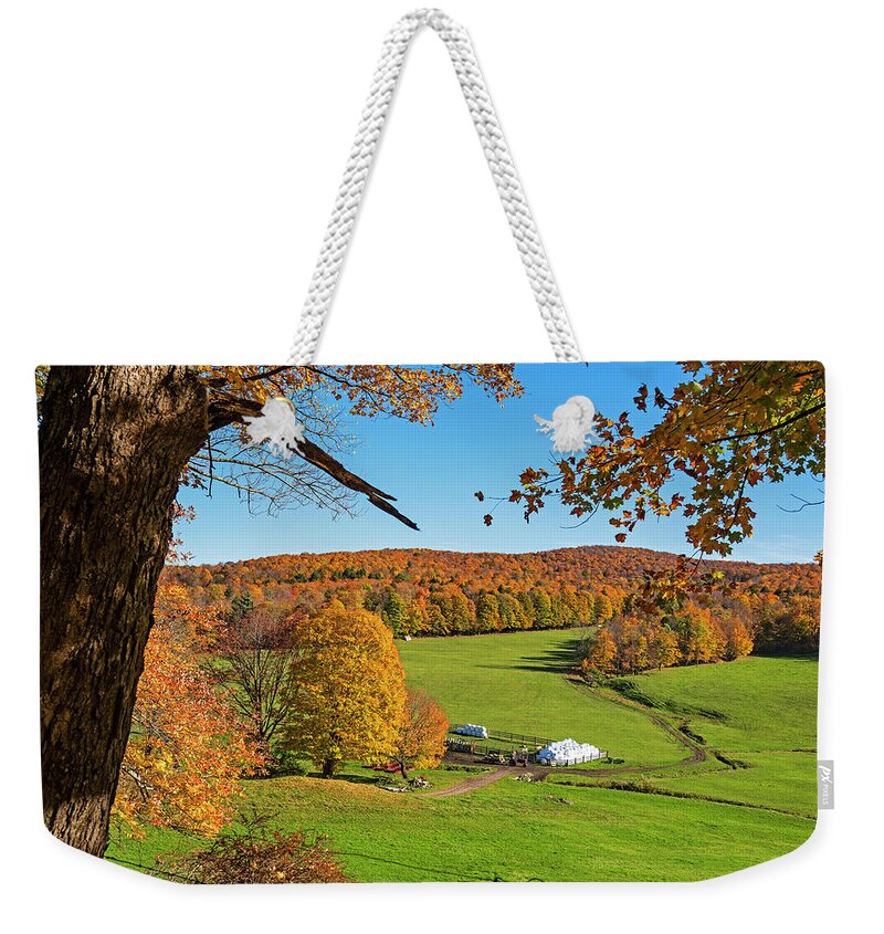 Woodstock Weekender Tote Bag featuring the photograph Tending to the Farm Woodstock Vermont VT Vibrant Autumn Foliage Yellow and Orange by Toby McGuire