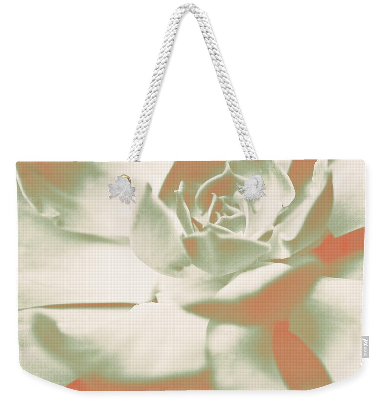 Terracotta Weekender Tote Bag featuring the photograph Terracotta Succulent by Susan Bryant