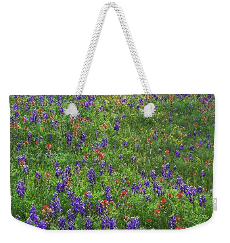 00586182 Weekender Tote Bag featuring the photograph Texas Bluebonnet And Paintbrush Flowers, Texas by Tim Fitzharris