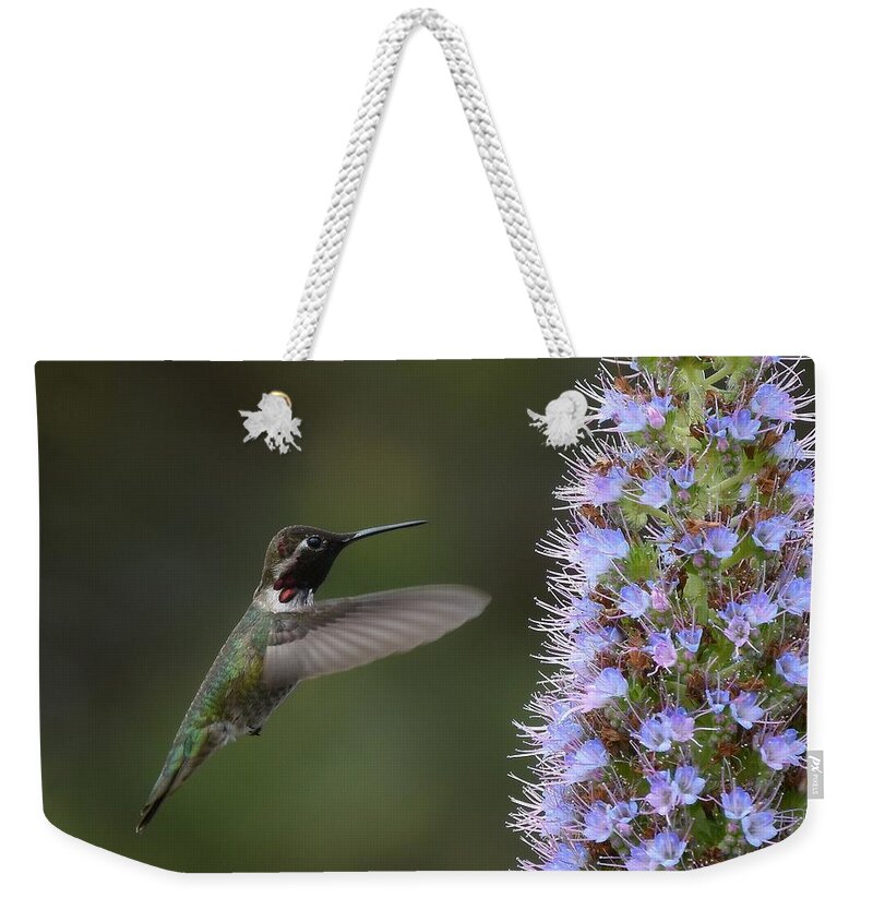 Annas Hummingbird Weekender Tote Bag featuring the photograph The Approach by Fraida Gutovich