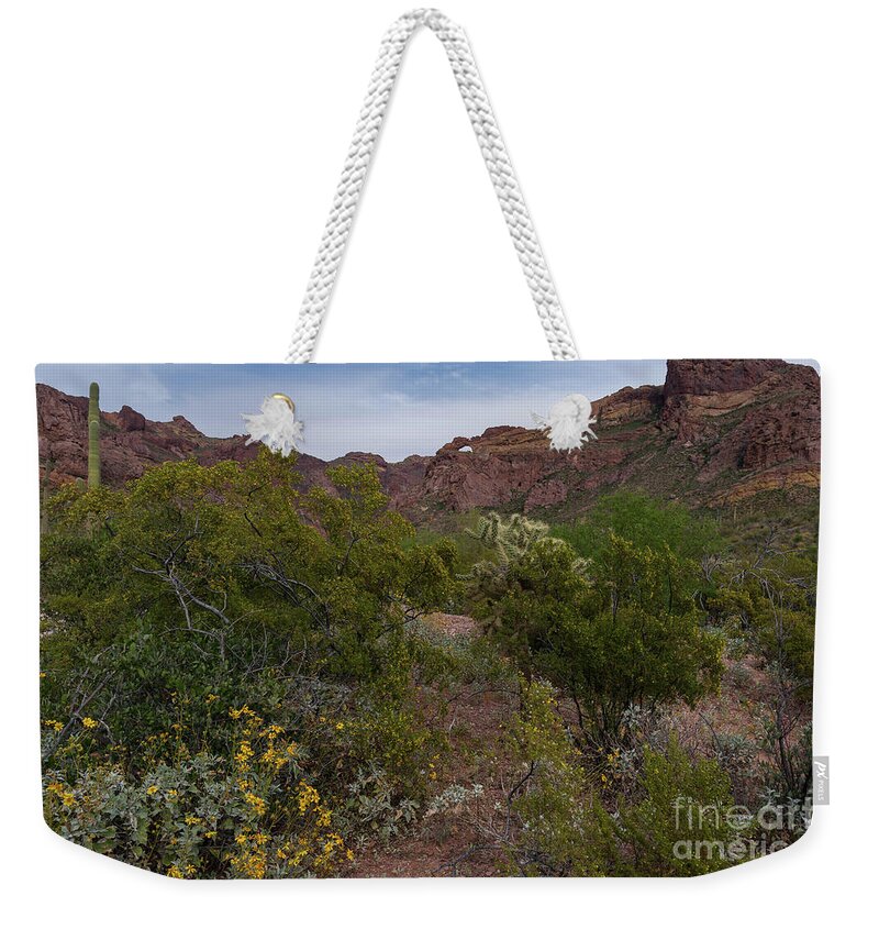 Sonoran Desert Weekender Tote Bag featuring the photograph The Arch on Ajo Mountain by Jeff Hubbard