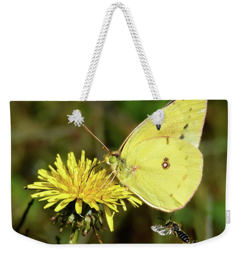 Sulphur Weekender Tote Bag featuring the photograph The Bee and the Butterfly by Amy Porter
