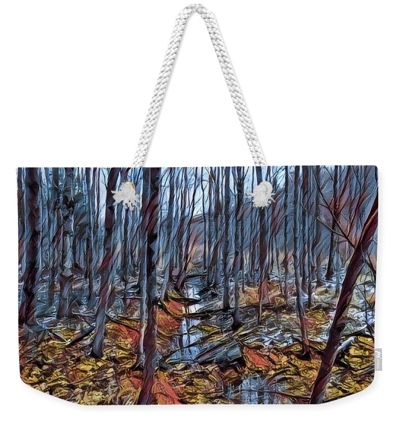 Photoshopped Photo. Weekender Tote Bag featuring the digital art The brook at the end of the beaver pond by Steve Glines