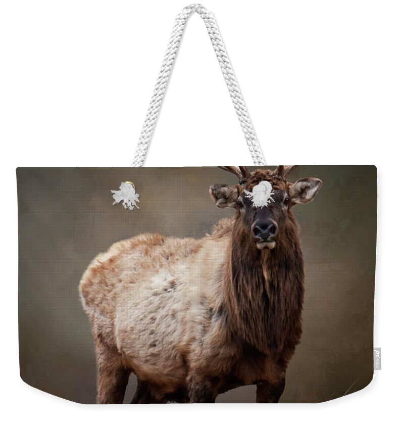 Bull Elk Weekender Tote Bag featuring the photograph The Bull Elk by Randall Allen