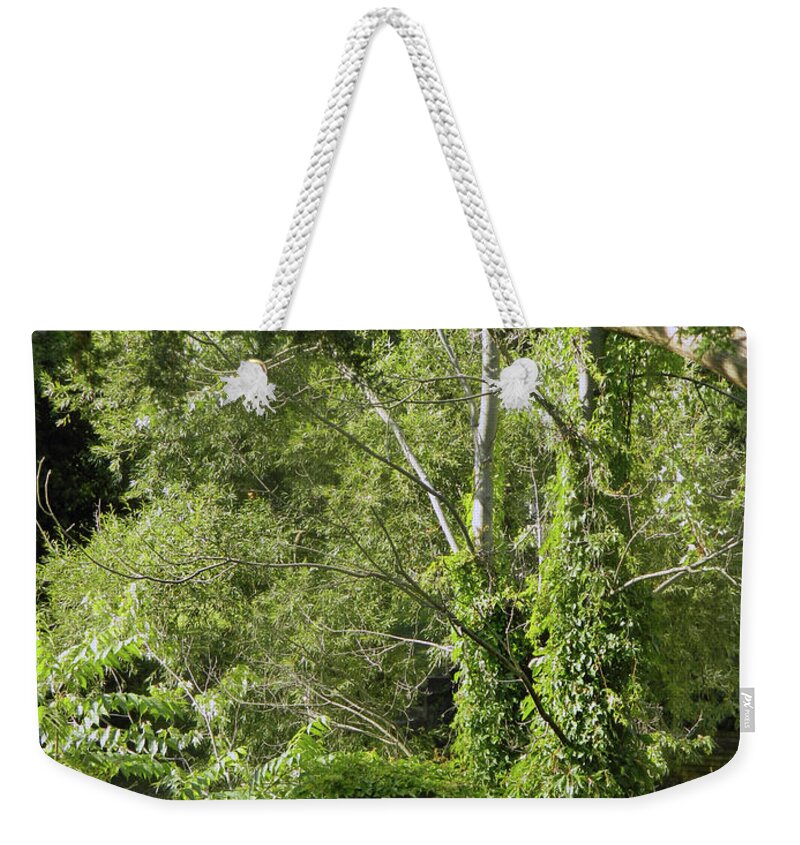 The Covered Balcony Weekender Tote Bag featuring the photograph The Covered Balcony by Cyryn Fyrcyd
