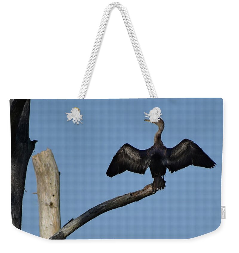 Critters Weekender Tote Bag featuring the photograph The Cross Of The Cormorant by Skip Willits
