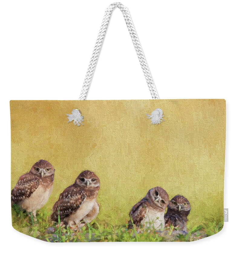 Burrowing Owls Weekender Tote Bag featuring the digital art The Curious One by Jayne Carney
