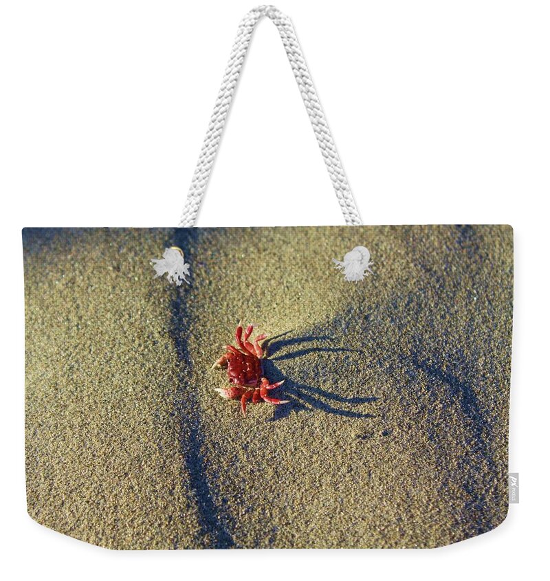 Crab Weekender Tote Bag featuring the photograph The end by Fred Bailey