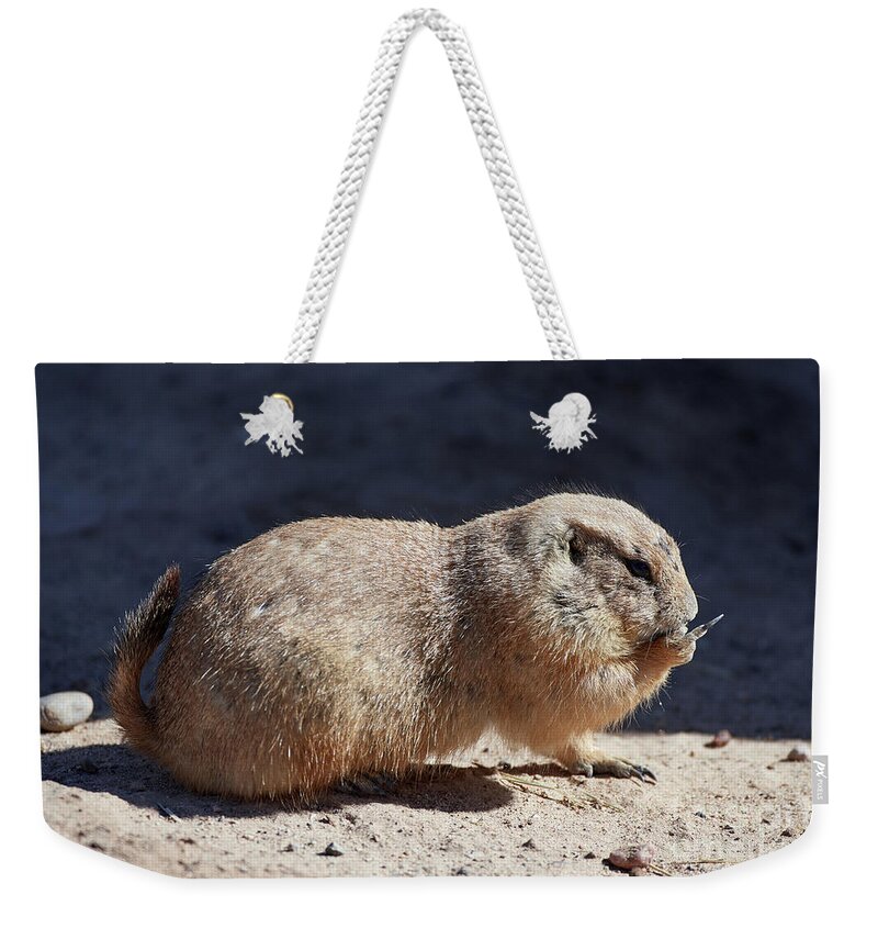 Rodentia Weekender Tote Bag featuring the photograph The Finger by Robert WK Clark
