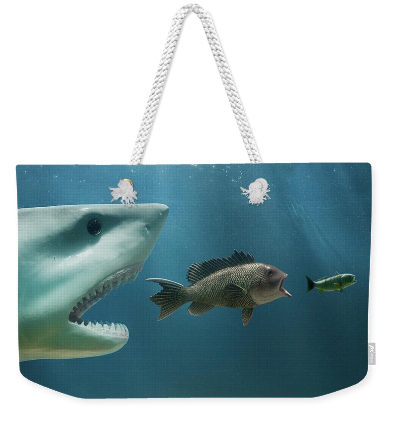 Underwater Weekender Tote Bag featuring the photograph The Food Chain by Pm Images