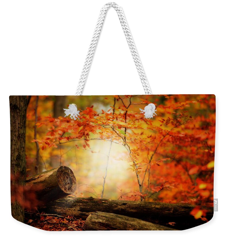 Forest Weekender Tote Bag featuring the photograph The Foresters by Philippe Sainte-Laudy