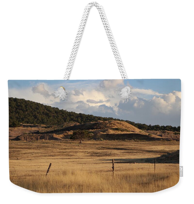 Utah Weekender Tote Bag featuring the photograph The Golden Hour in Utah by Colleen Cornelius