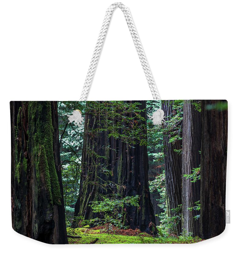 California Weekender Tote Bag featuring the photograph The Hollow by Peter Tellone